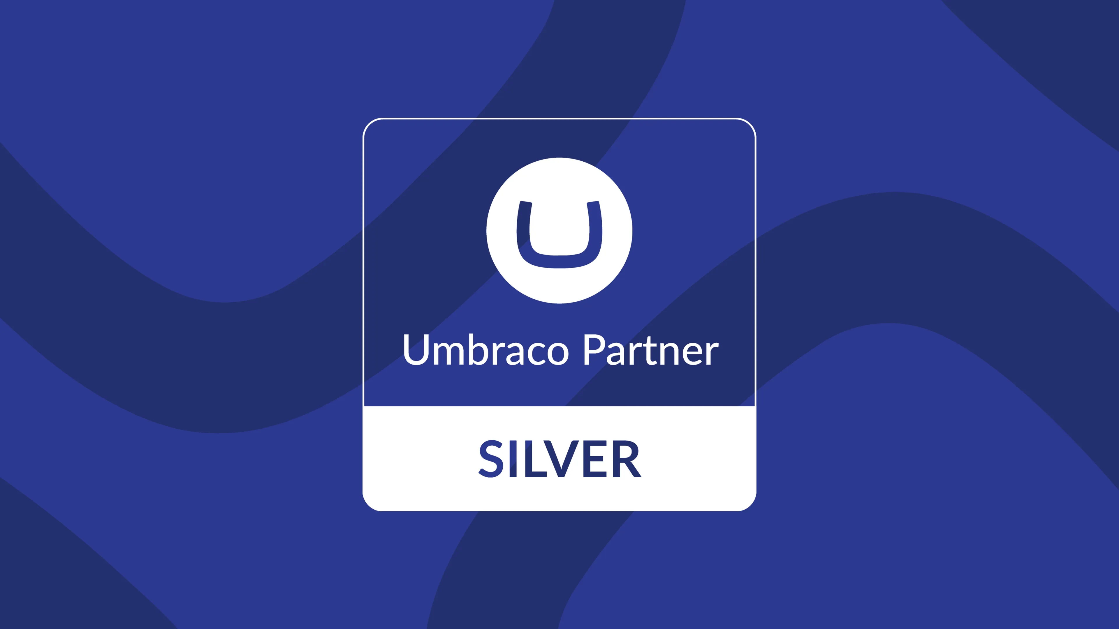 Blog Umbraco Partner Silver.png