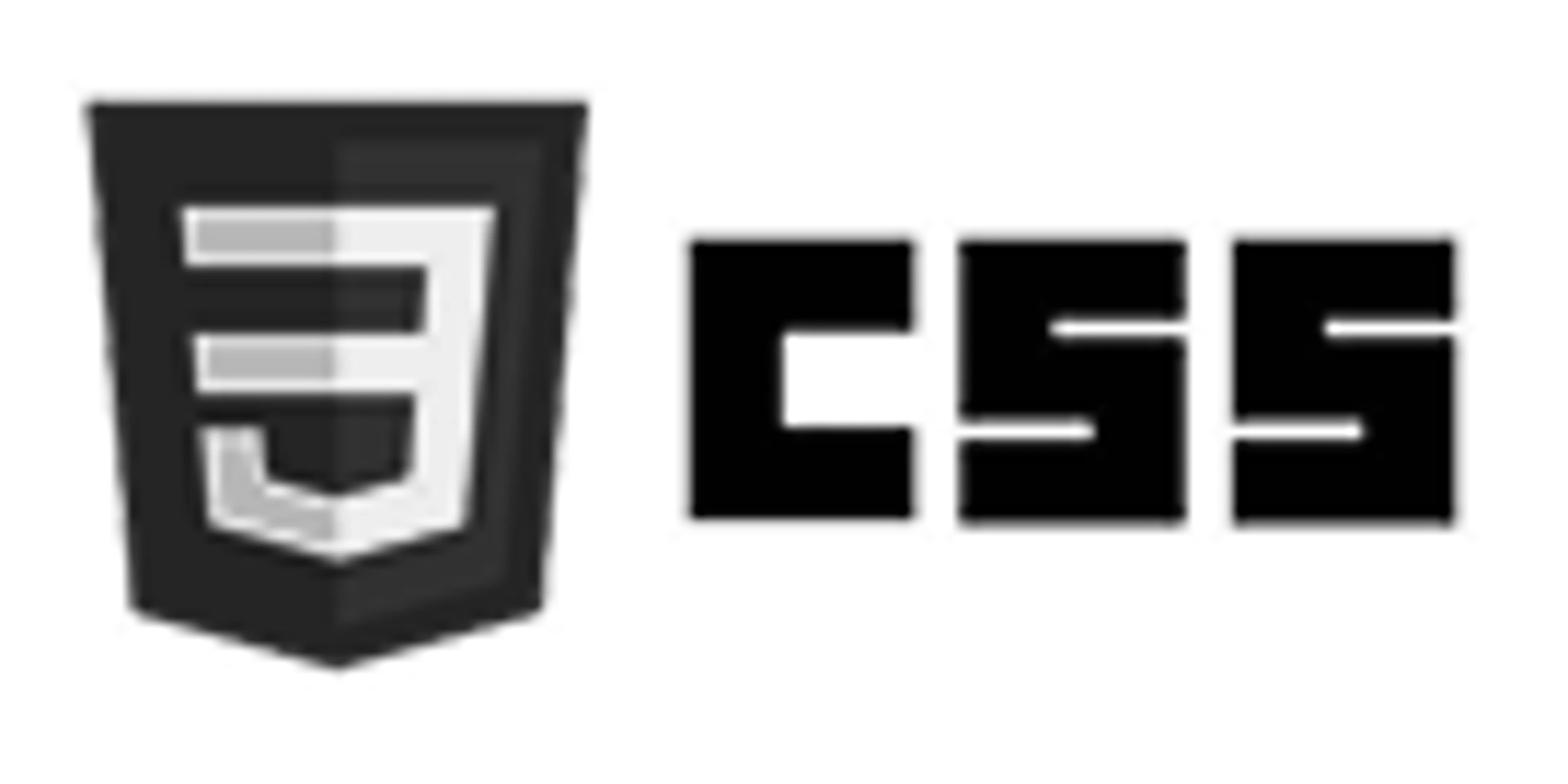 CSS.png