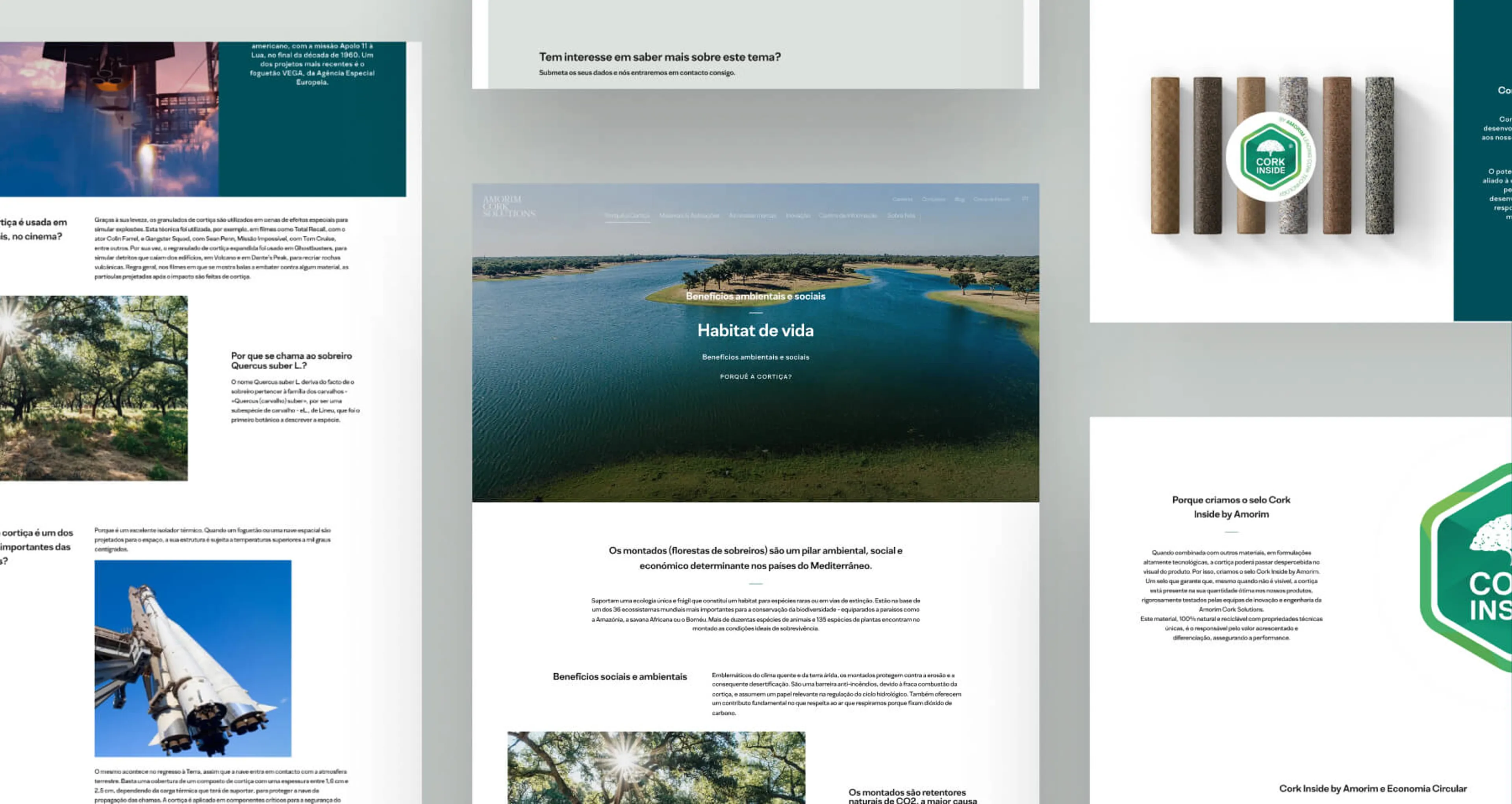 Amorim Layouts